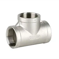 ACI-2 TE 90 FEMEA 316 150# 3 BSP