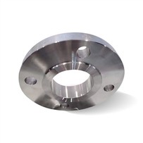 317 / 317Lステンレス鋼フランジ